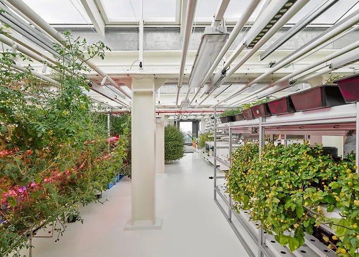 Ruby Emma 4* Amsterdam