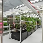 Ruby Emma 4* アムステルダム