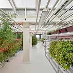 Ruby Emma 4* アムステルダム