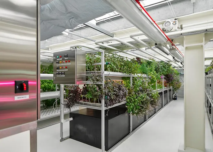 Ruby Emma 4* אמסטרדם