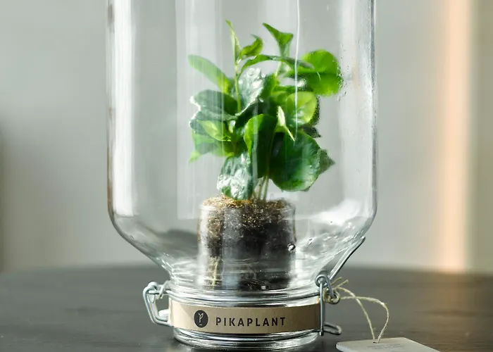 Ruby Emma Hotel Amsterdam Hotel 4*