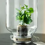 Ruby Emma ホテル 4*